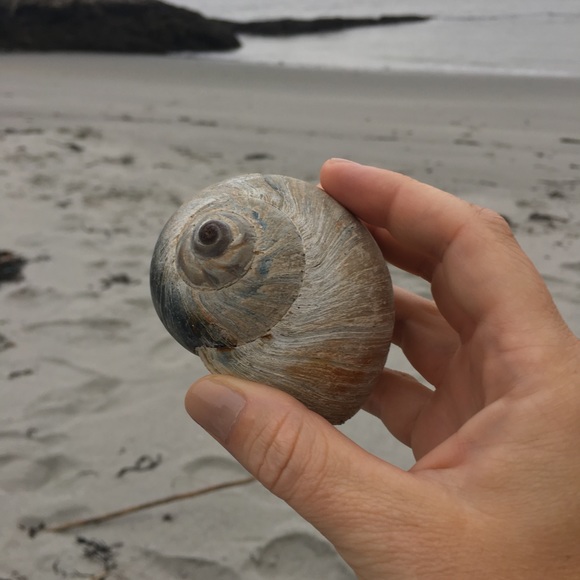 Meet your Posher, Molly - Picture 3 of 4